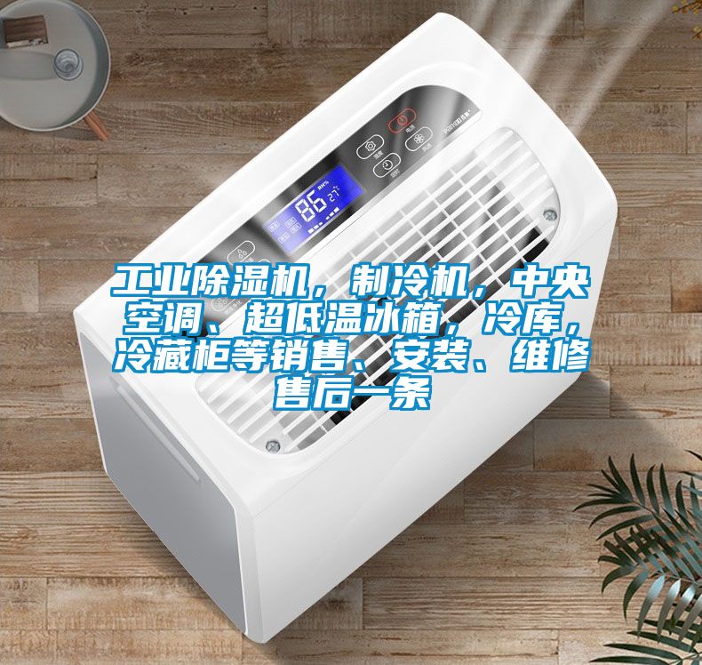 工業除濕機，制冷機，中央空調、超低溫冰箱，冷庫，冷藏柜等銷售、安裝、維修售后一條