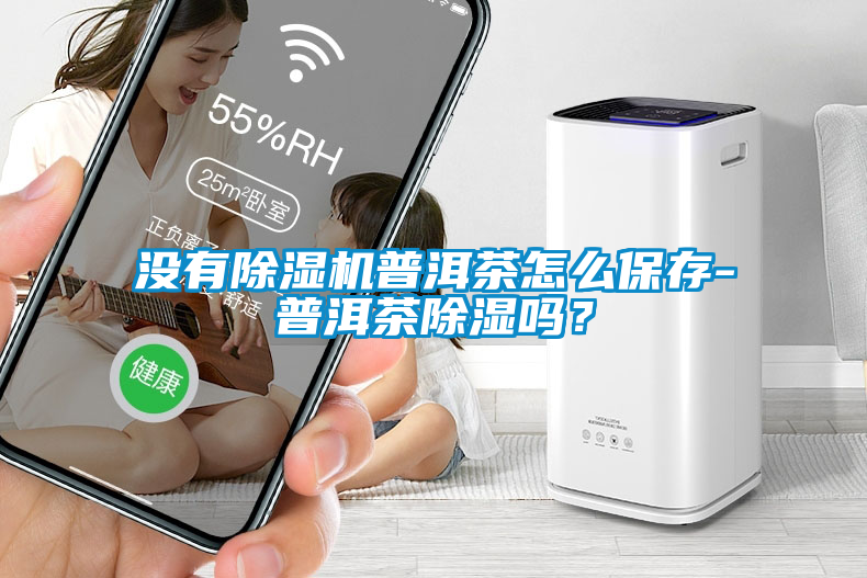 沒有除濕機普洱茶怎么保存-普洱茶除濕嗎？