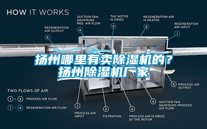 揚州哪里有賣除濕機的？揚州除濕機廠家