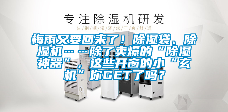 梅雨又要回來了！除濕袋、除濕機……除了賣爆的“除濕神器”，這些開窗的小“玄機”你GET了嗎？