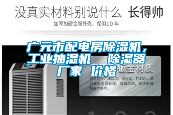 廣元市配電房除濕機，工業抽濕機  除濕器廠家 價格