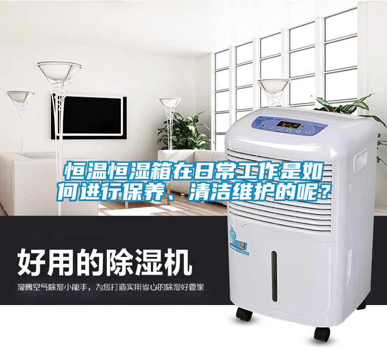 恒溫恒濕箱在日常工作是如何進行保養、清潔維護的呢？