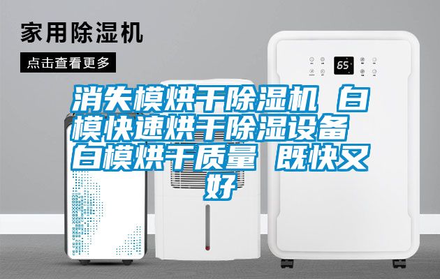 消失模烘干除濕機 白?？焖俸娓沙凉裨O備 白模烘干質量 既快又好