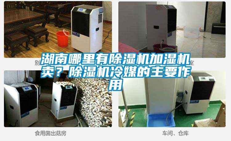 湖南哪里有除濕機加濕機賣？除濕機冷媒的主要作用
