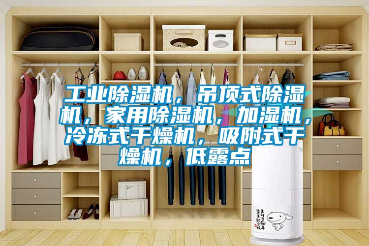 工業除濕機，吊頂式除濕機，家用除濕機，加濕機，冷凍式干燥機，吸附式干燥機，低露點