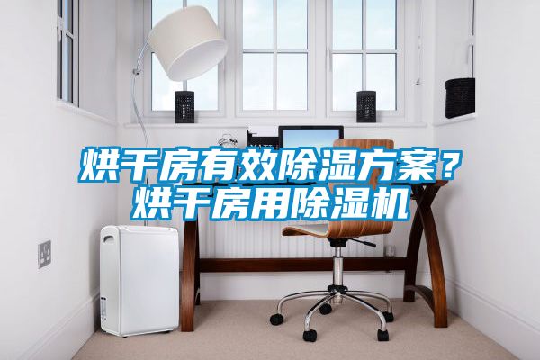 烘干房有效除濕方案？烘干房用除濕機