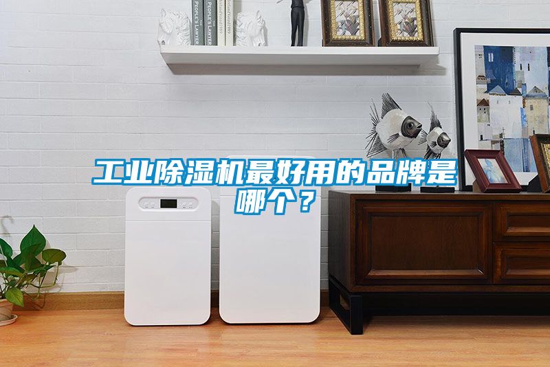 工業除濕機最好用的品牌是哪個？