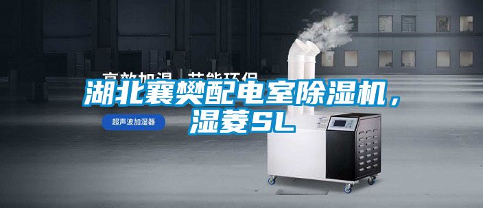 湖北襄樊配電室除濕機，濕菱SL