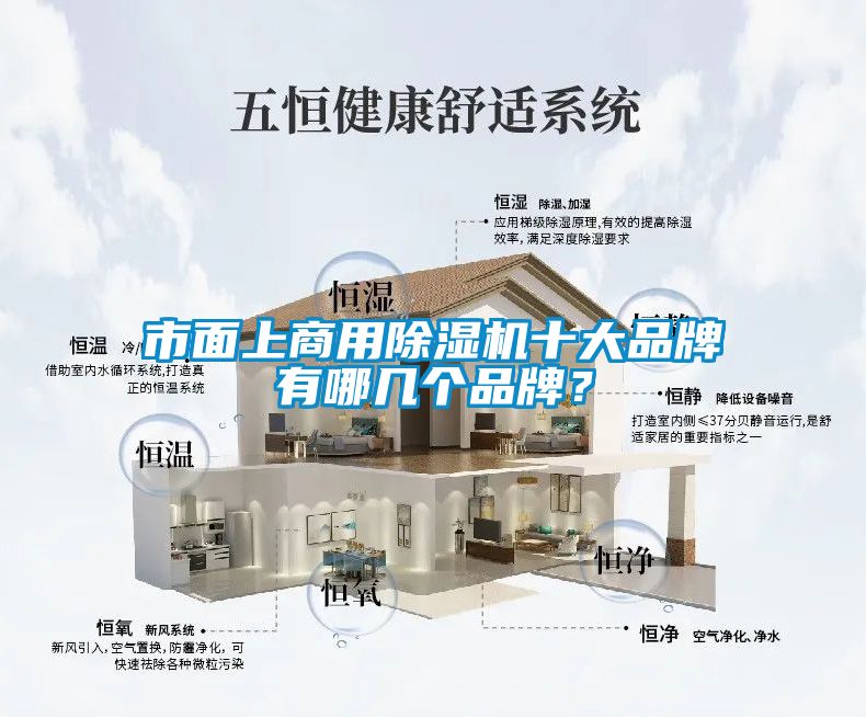 市面上商用除濕機十大品牌有哪幾個品牌？