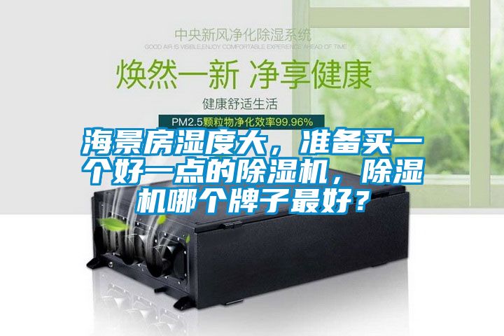 海景房濕度大，準備買一個好一點的除濕機，除濕機哪個牌子最好？