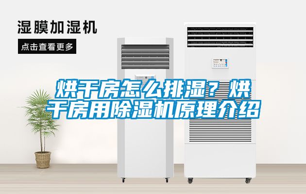 烘干房怎么排濕？烘干房用除濕機原理介紹