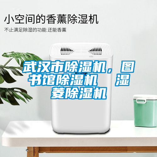 武漢市除濕機，圖書館除濕機  濕菱除濕機