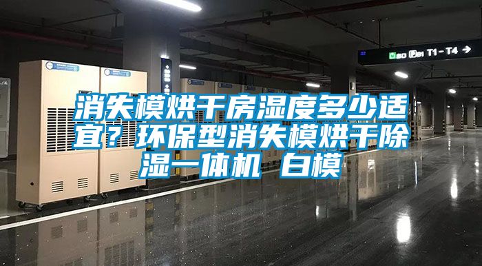 消失模烘干房濕度多少適宜？環保型消失模烘干除濕一體機 白模