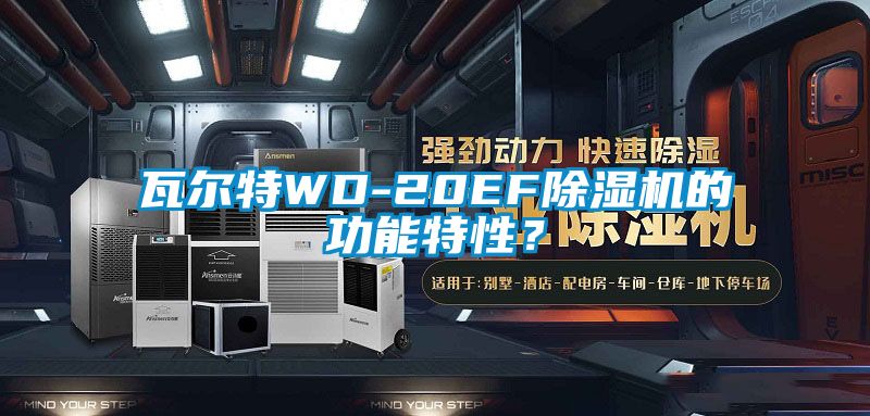 瓦爾特WD-20EF除濕機的功能特性？