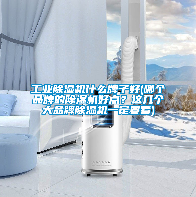 工業除濕機什么牌子好(哪個品牌的除濕機好點？這幾個大品牌除濕機一定要看)