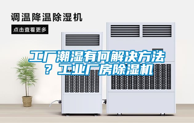 工廠潮濕有何解決方法？工業廠房除濕機