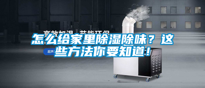 怎么給家里除濕除味？這些方法你要知道！
