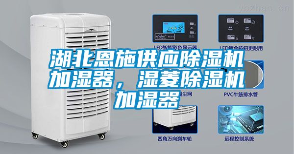 湖北恩施供應除濕機加濕器，濕菱除濕機加濕器