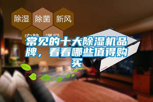 常見的十大除濕機品牌，看看哪些值得購買