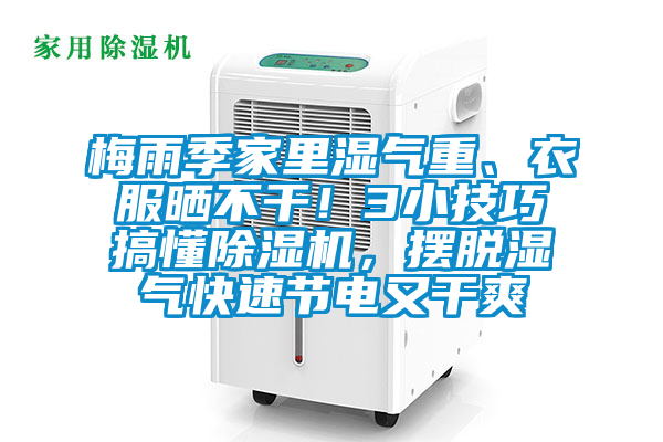 梅雨季家里濕氣重、衣服曬不干！3小技巧搞懂除濕機，擺脫濕氣快速節電又干爽