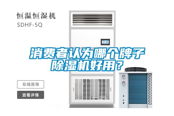 消費者認為哪個牌子除濕機好用？