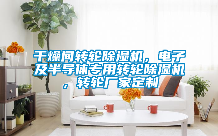 干燥間轉輪除濕機，電子及半導體專用轉輪除濕機，轉輪廠家定制