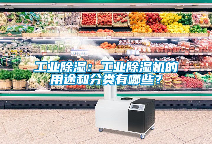 工業除濕：工業除濕機的用途和分類有哪些？