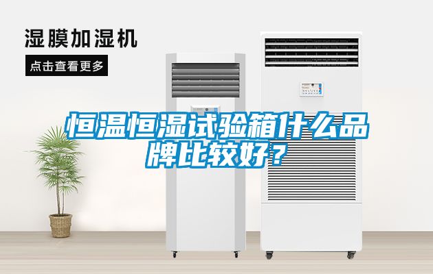 恒溫恒濕試驗箱什么品牌比較好？
