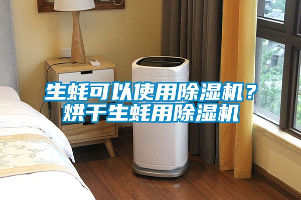 生蠔可以使用除濕機？烘干生蠔用除濕機
