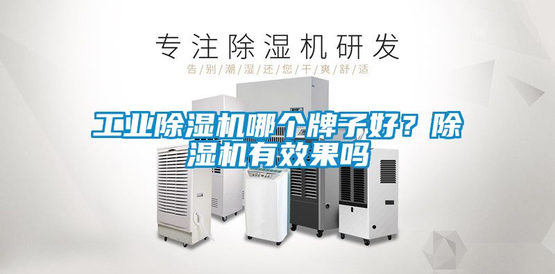 工業除濕機哪個牌子好？除濕機有效果嗎