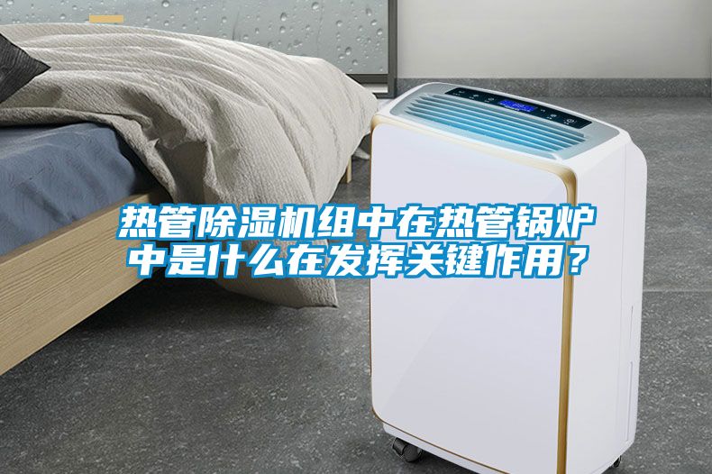 熱管除濕機組中在熱管鍋爐中是什么在發揮關鍵作用？