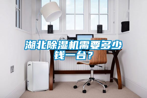 湖北除濕機需要多少錢一臺？
