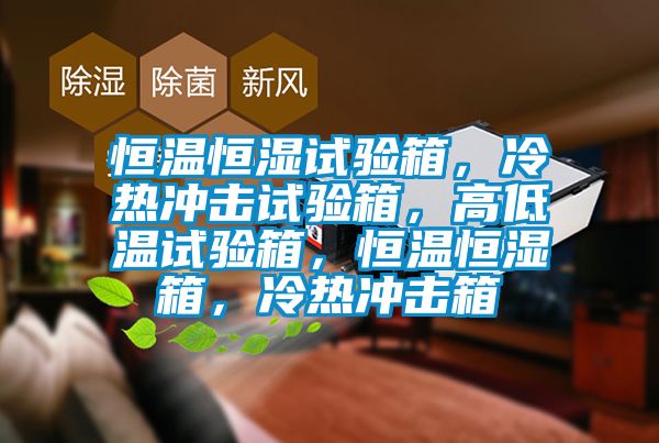 恒溫恒濕試驗箱，冷熱沖擊試驗箱，高低溫試驗箱，恒溫恒濕箱，冷熱沖擊箱