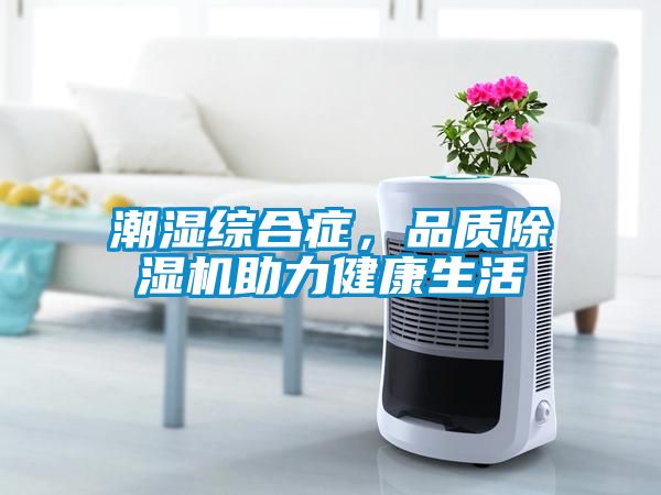 潮濕綜合癥，品質除濕機助力健康生活