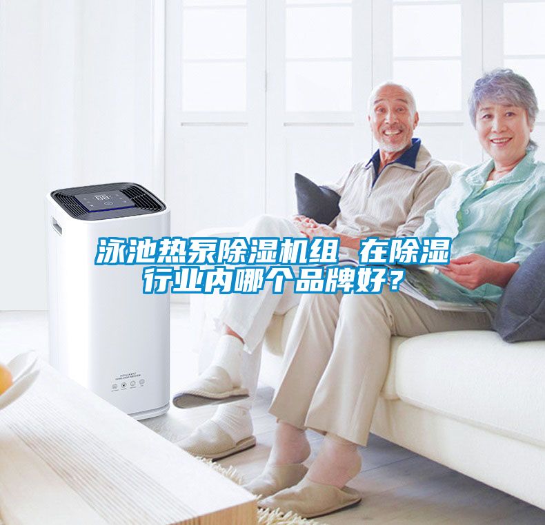 泳池熱泵除濕機組 在除濕行業內哪個品牌好？