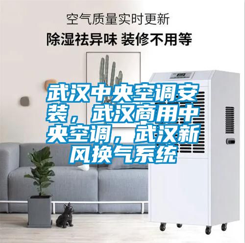 武漢中央空調安裝，武漢商用中央空調，武漢新風換氣系統
