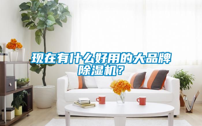 現在有什么好用的大品牌除濕機？
