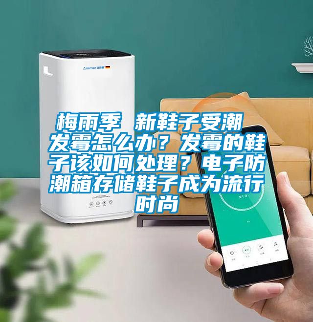 梅雨季 新鞋子受潮 發霉怎么辦？發霉的鞋子該如何處理？電子防潮箱存儲鞋子成為流行時尚