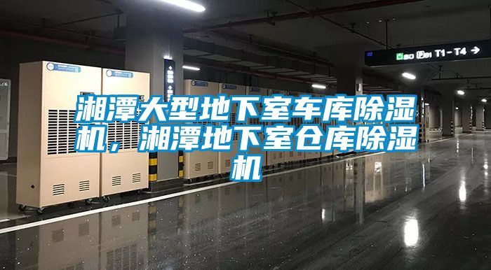 湘潭大型地下室車庫除濕機，湘潭地下室倉庫除濕機