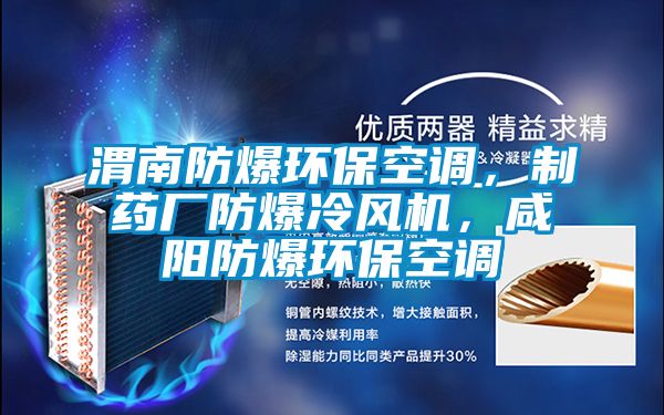 渭南防爆環?？照{，制藥廠防爆冷風機，咸陽防爆環?？照{