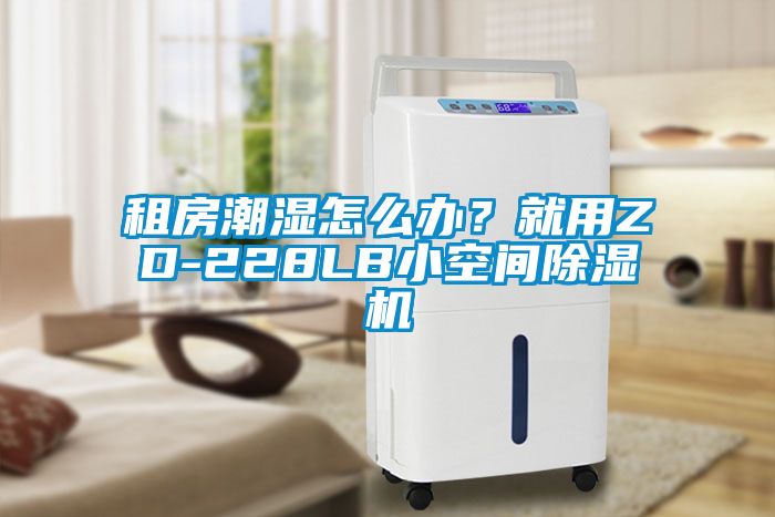 租房潮濕怎么辦？就用ZD-228LB小空間除濕機