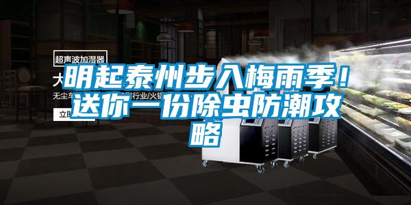 明起泰州步入梅雨季！送你一份除蟲防潮攻略