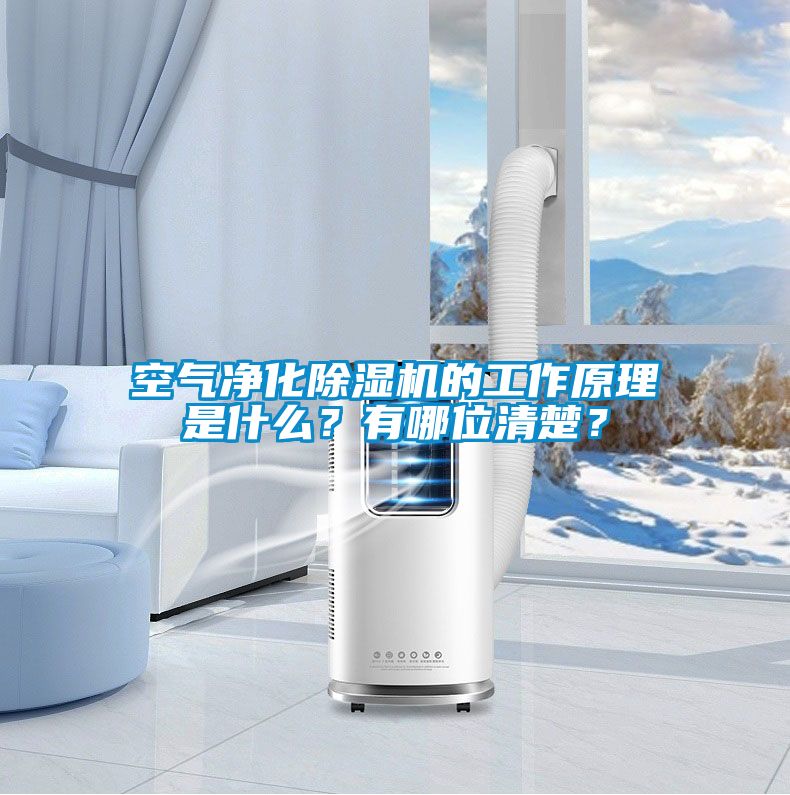空氣凈化除濕機的工作原理是什么？有哪位清楚？