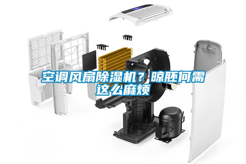空調風扇除濕機？晾胚何需這么麻煩
