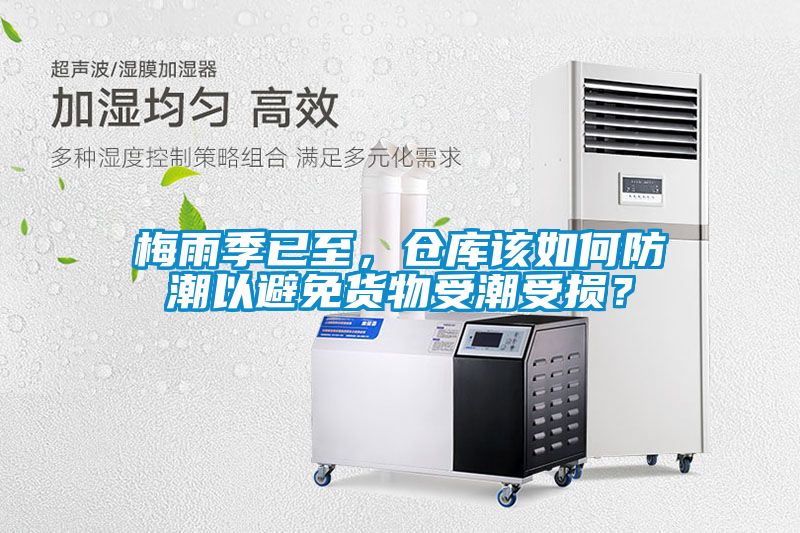梅雨季已至，倉庫該如何防潮以避免貨物受潮受損？