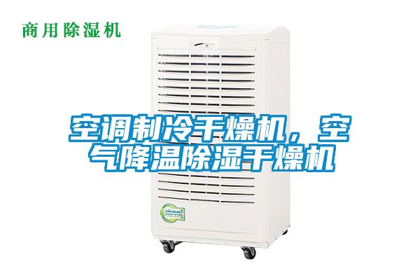 空調制冷干燥機，空氣降溫除濕干燥機