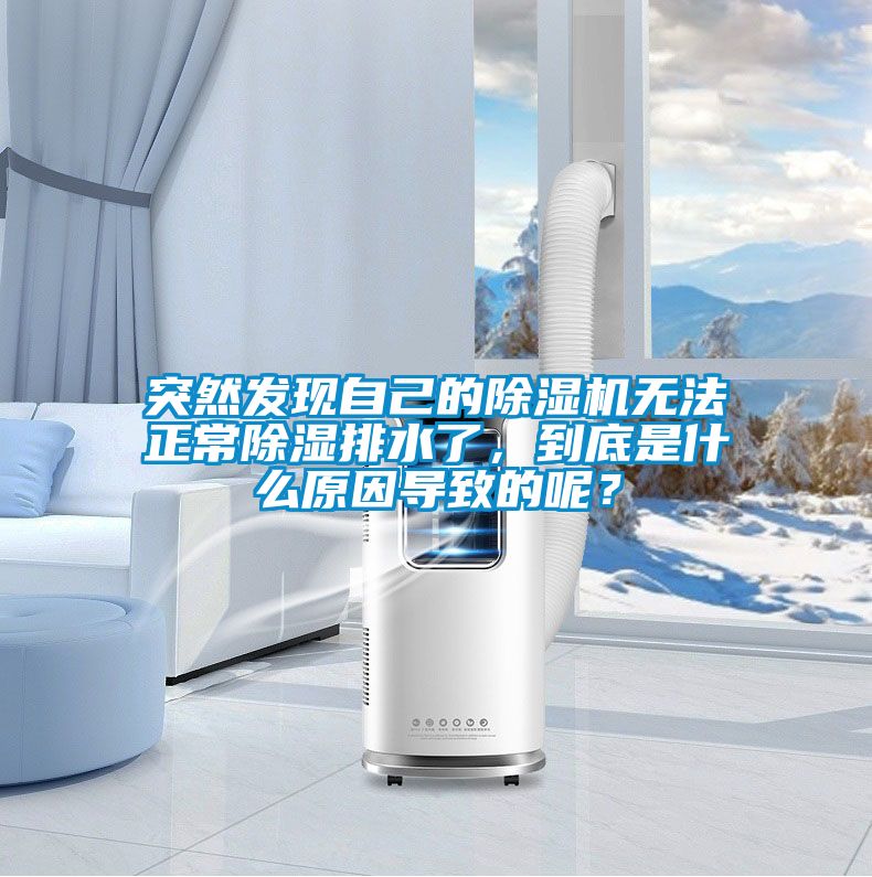 突然發現自己的除濕機無法正常除濕排水了，到底是什么原因導致的呢？
