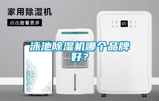 泳池除濕機哪個品牌好？