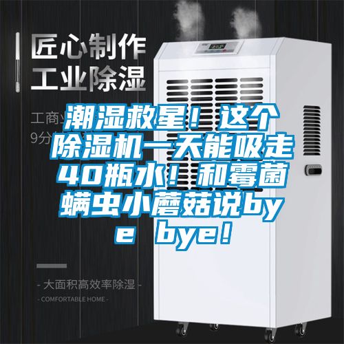 潮濕救星！這個除濕機一天能吸走40瓶水！和霉菌螨蟲小蘑菇說bye bye！