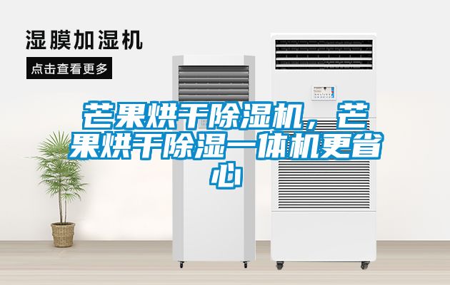 芒果烘干除濕機，芒果烘干除濕一體機更省心